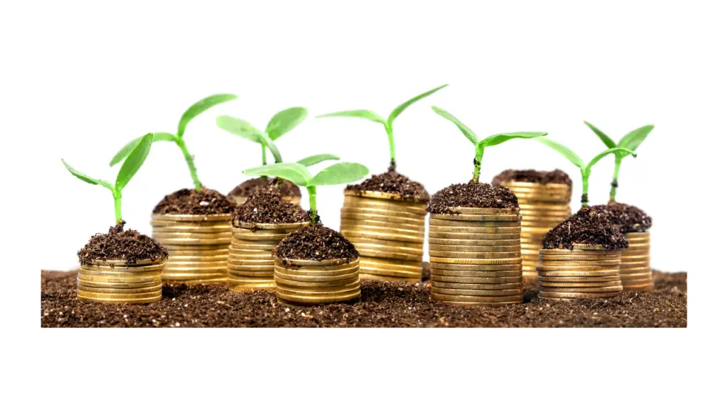 A bunch of seedlings growing on dirt and stacked money coins.