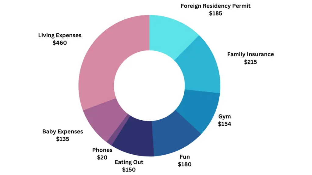 a pie chart showing our expenses while living in china during 2022